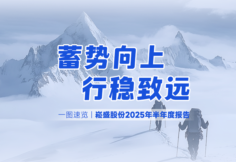 一图速览 | 3868la银河总站股份2025年半年度报告